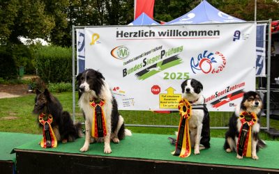 Bundessiegerprüfung RO 2025 in Emmendingen