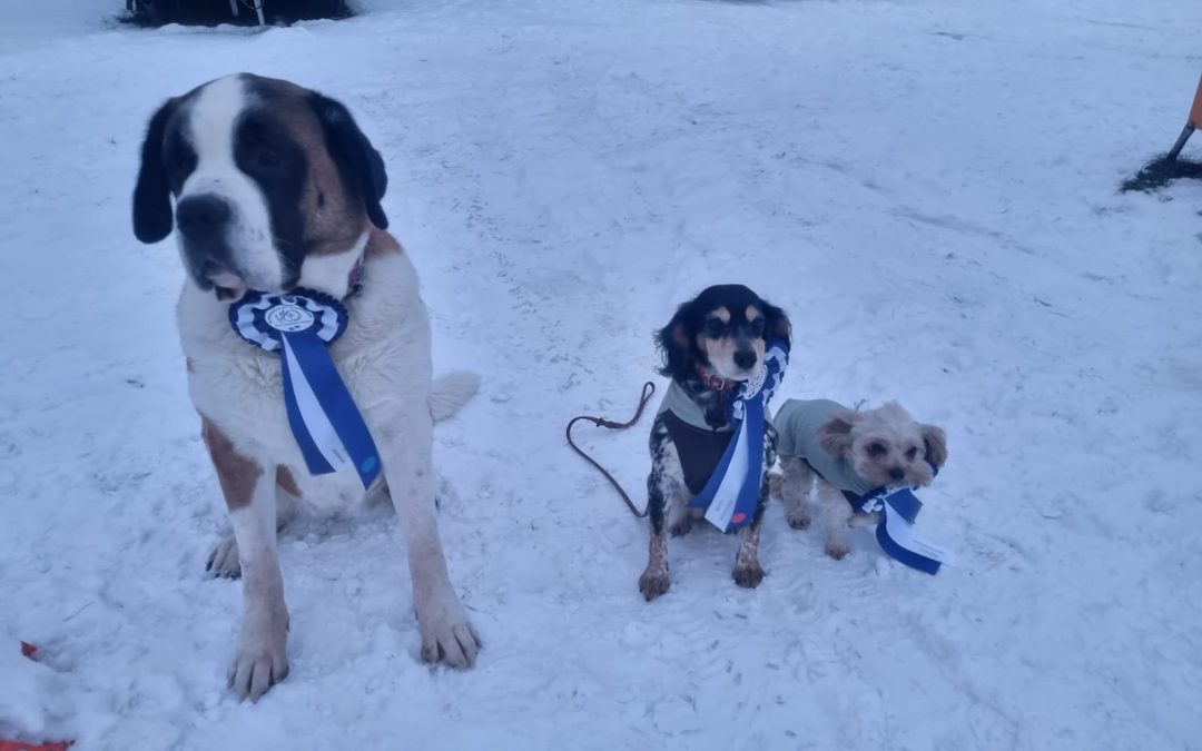 RO-Hallenturnier Süderhastedt 31.1.2026