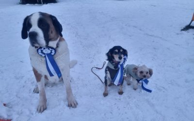 RO-Hallenturnier Süderhastedt 31.1.2026