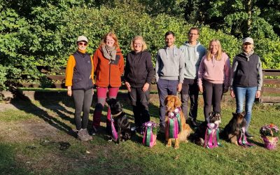 4. Blumentopfturnier beim HSV Groß Grönau 2000 e.V. am 27.09.2025