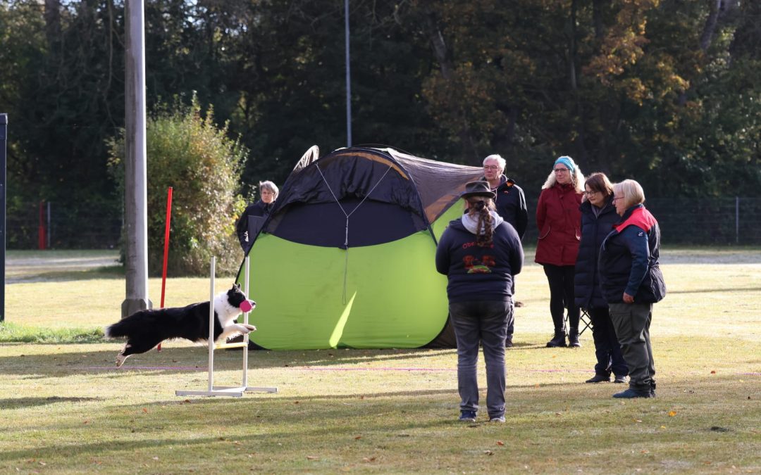 Obedience Anfänger Turnier 18.10.2025 beim PHV Lübeck e.V.