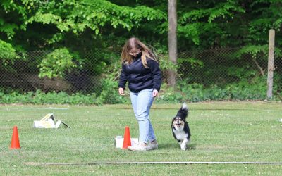 RO-Turnier in Süderhastedt am 05.10.2025